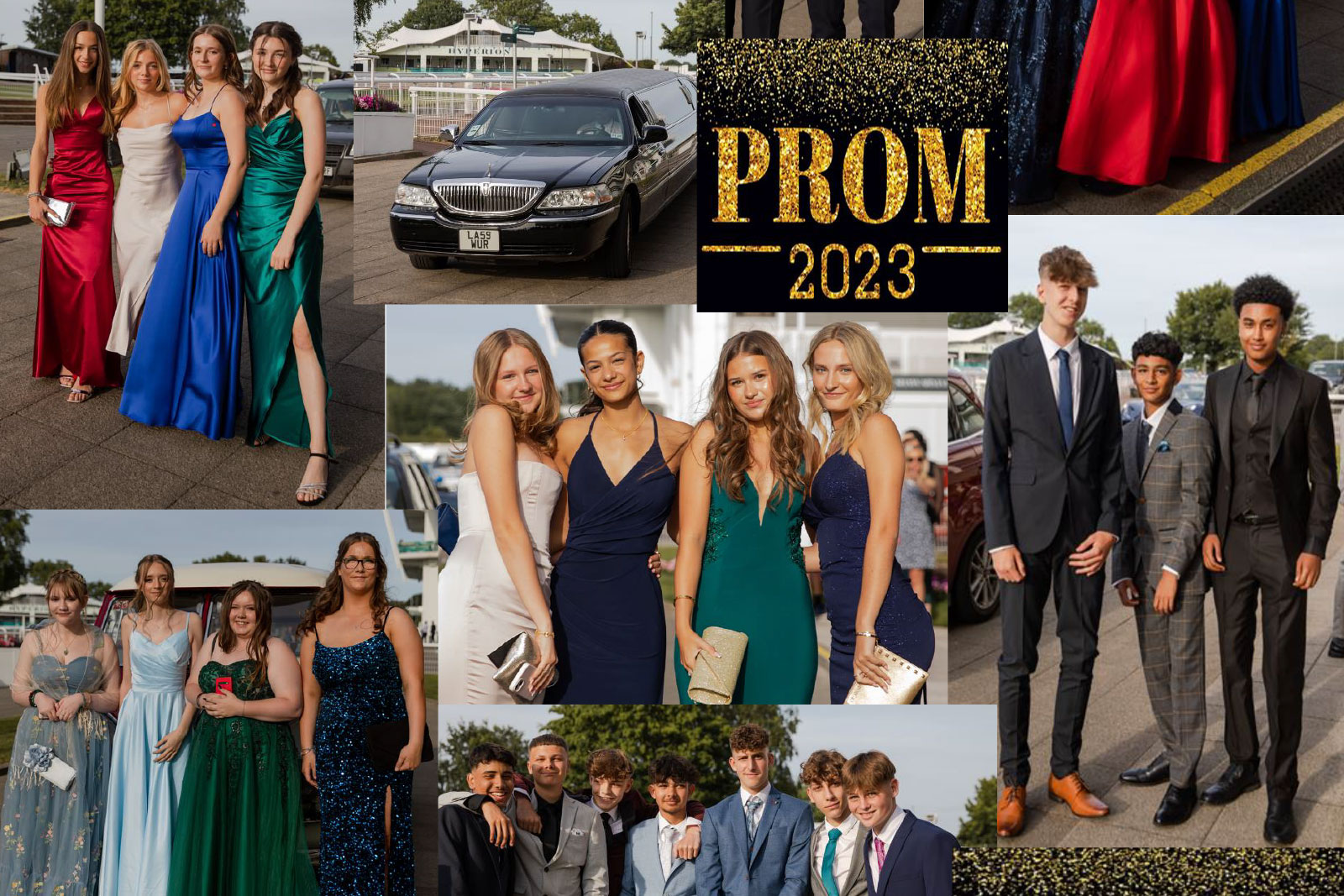 Newsletter 295